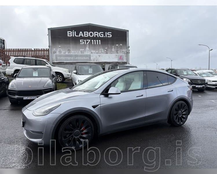 2023 Tesla Model Y Long Range Perfomance