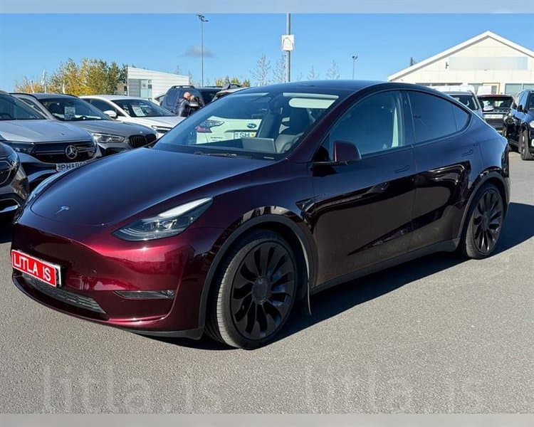 2023 Tesla Model Y Long Range Performance