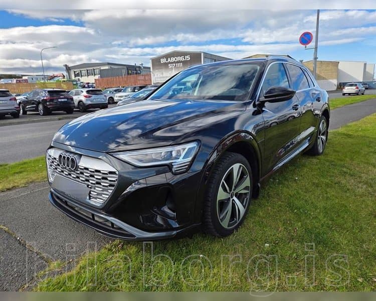 2024 Audi Q8 50 e-tron