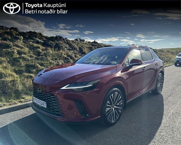2024 Lexus RX 450h EXE PHEV Panorama