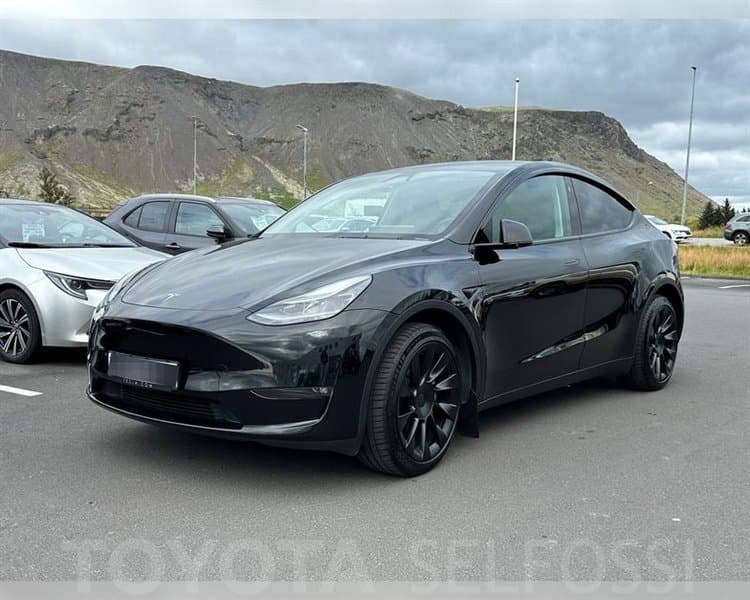 2024 Tesla Model Y LR