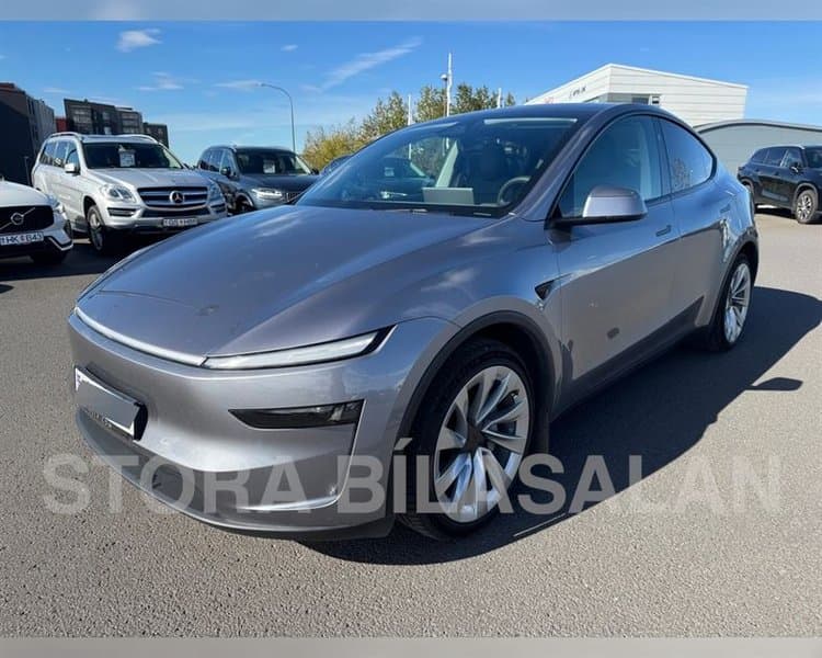 2025 Tesla Model Y LR Launch