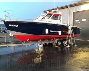 2018 Dervinis 800 ME Kerru