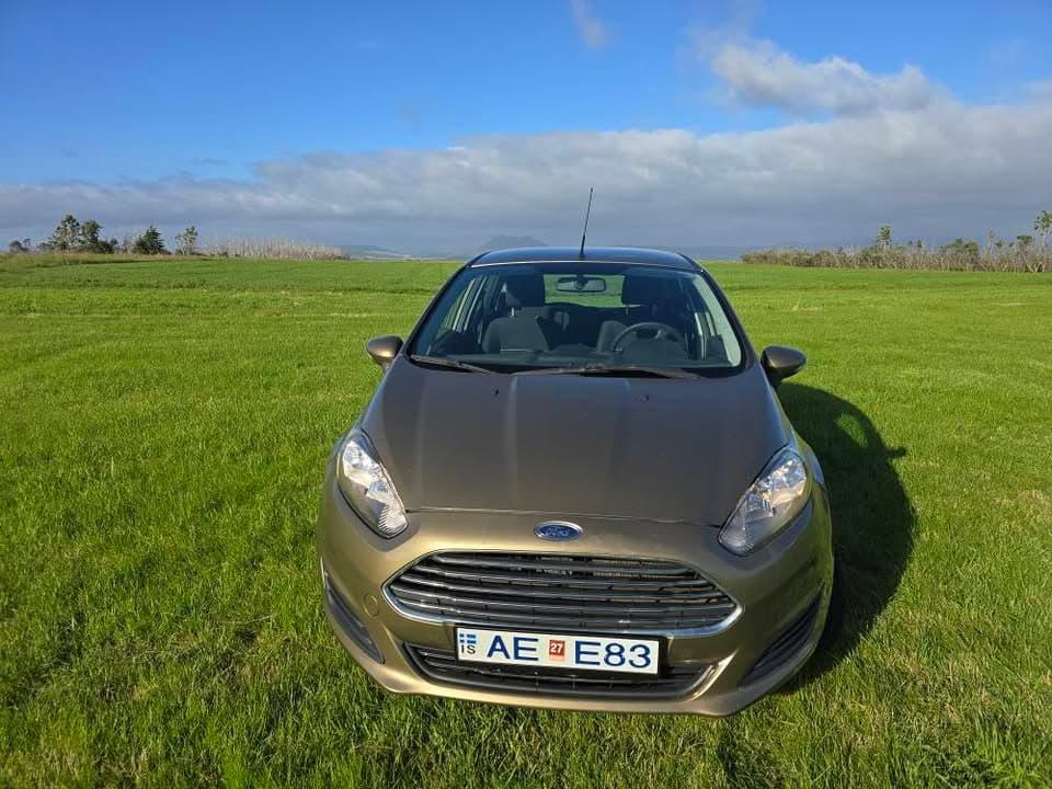 2014 Ford Fiesta