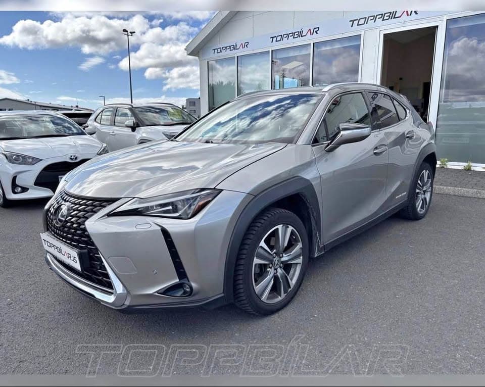 2021 Lexus UX 300e