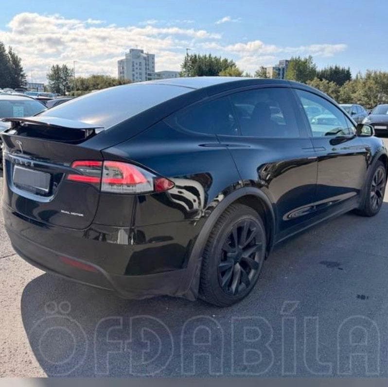 2020 Tesla Model X