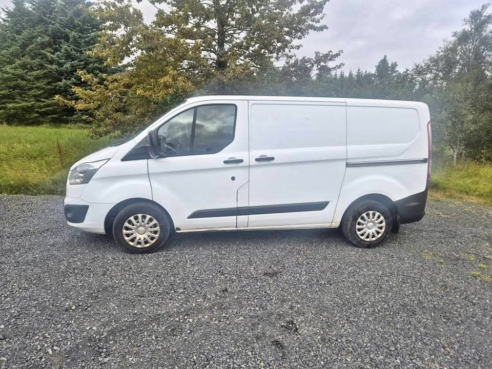 2015 Ford Transit Custom