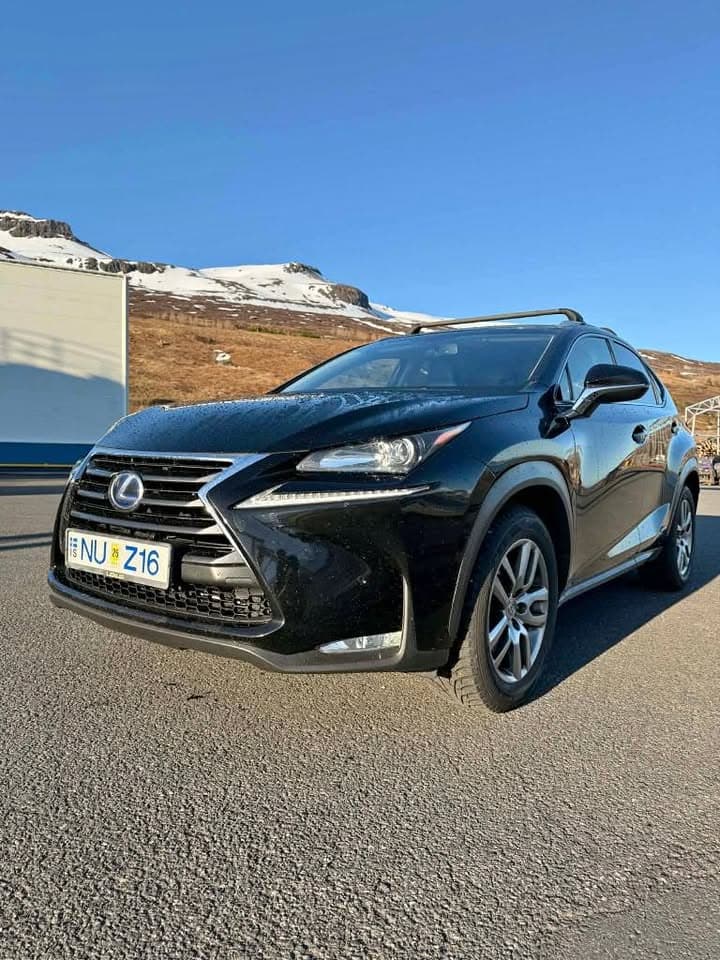 2016 Lexus NX 300h