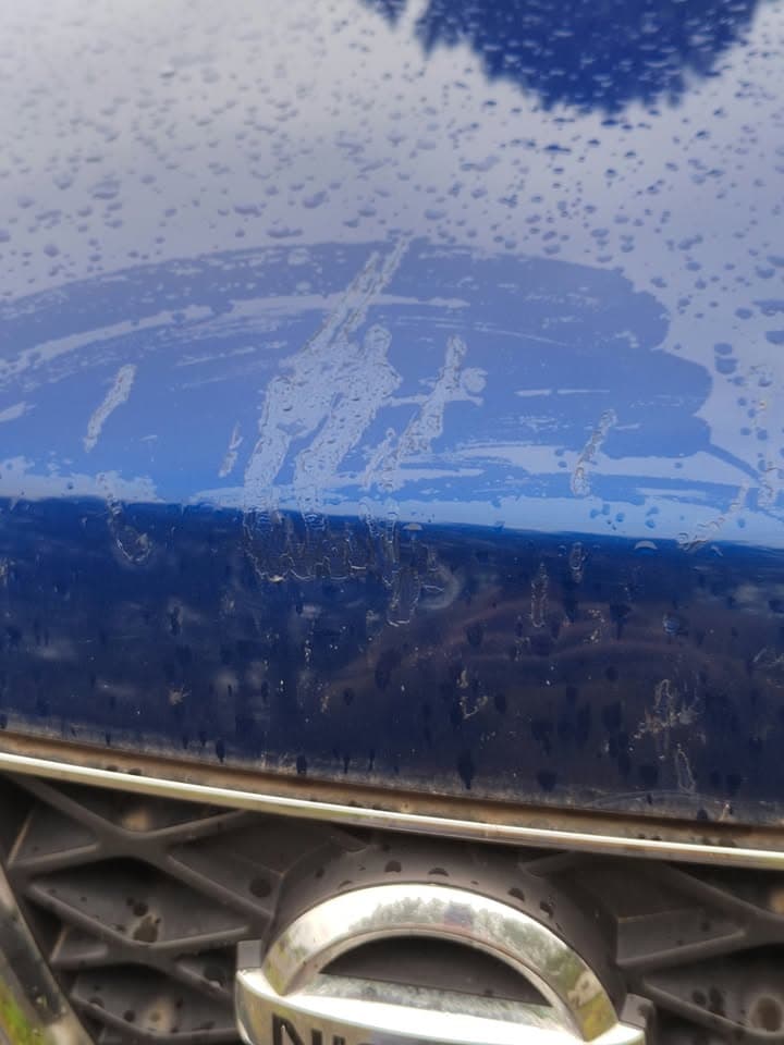 2007 Nissan X-Trail