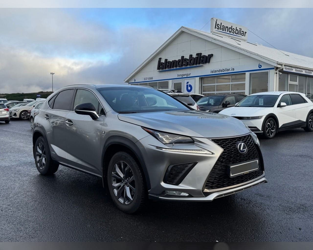 2018 Lexus NX