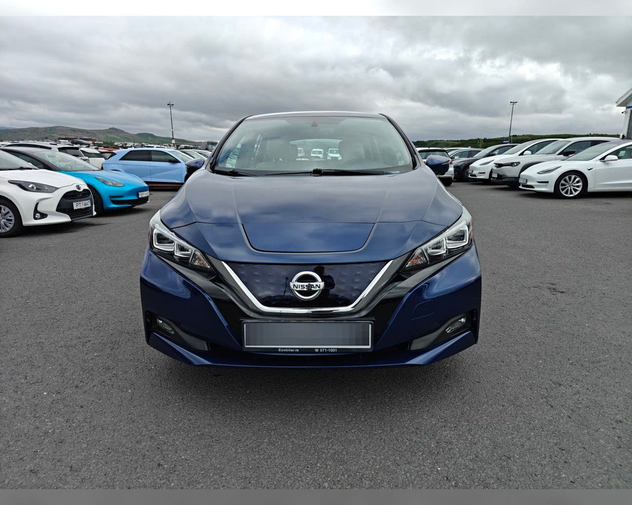 2019 Nissan Leaf