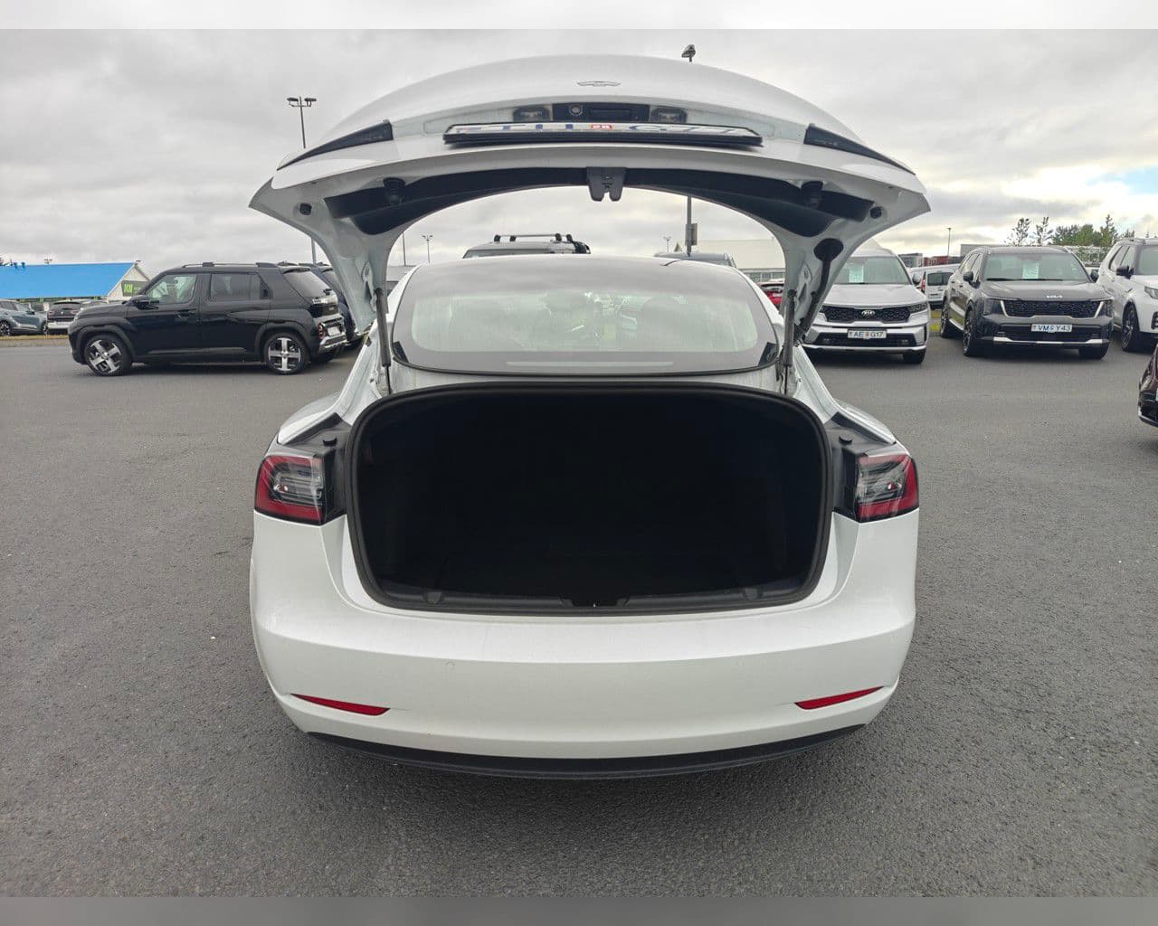 2020 Tesla Model 3